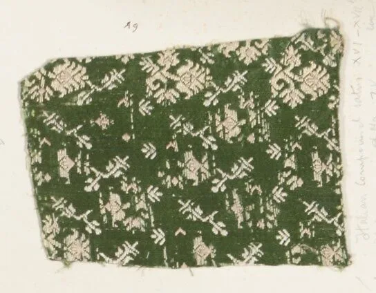 Fragment — Unknown