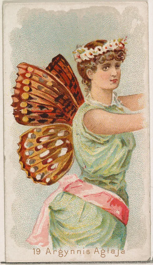 Card 19, Argynnis Aglaja, from the Butterflies series (N183) issued by Wm. S. Kimball & Co. — William S. Kimball & Company|Julius Bien