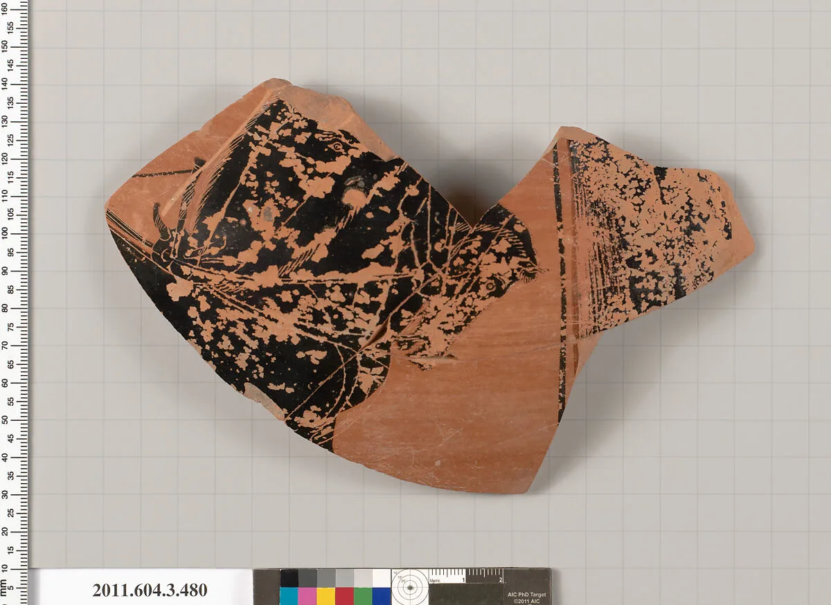Terracotta fragment of a neck-amphora of Panathenaic shape — Unknown