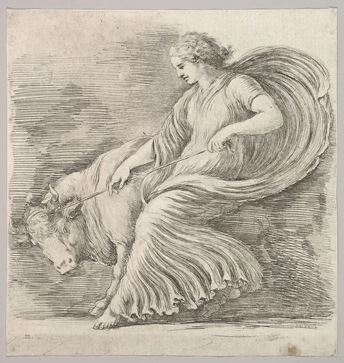 A woman in profile pulling back on a rope tied around the horns of a young bull