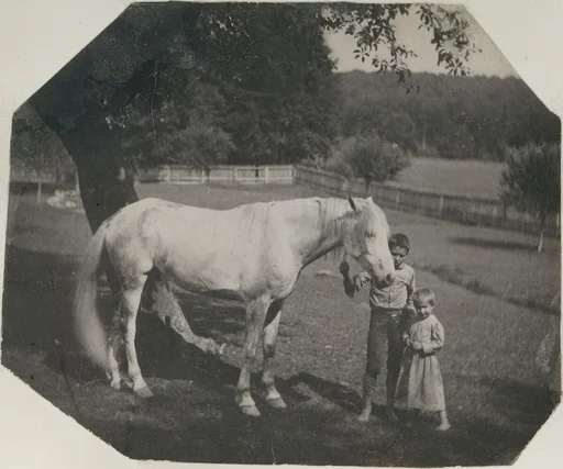 [Thomas Eakins's Horse Billy and Two Crowell Children at Avondale, Pennsylvania]