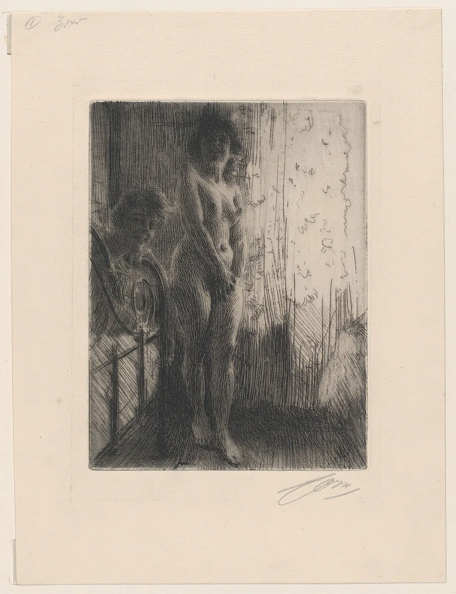 A Dark Corner — Anders Zorn