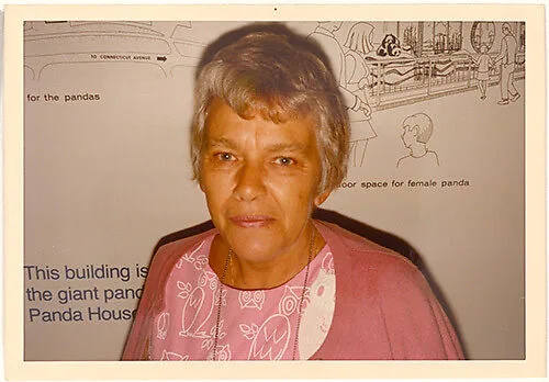 Washington, D.C. — Stephen Shore