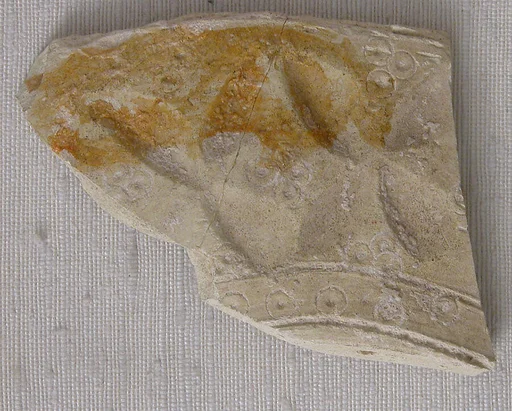 Fragment