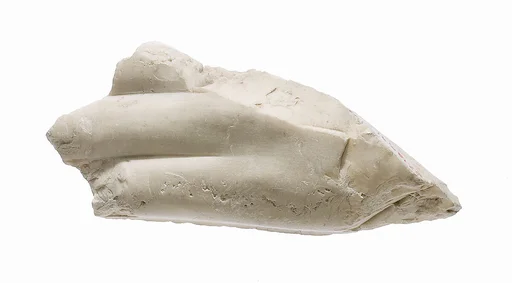 Hand