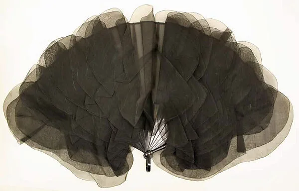 Fan — Unknown