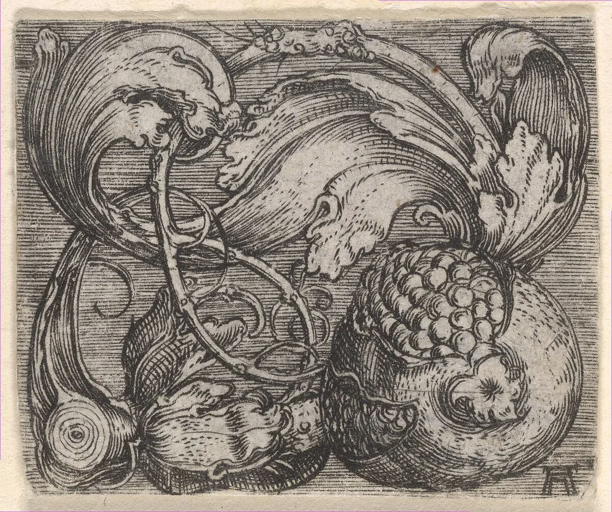 Pomegranate with Tendril — Albrecht Altdorfer