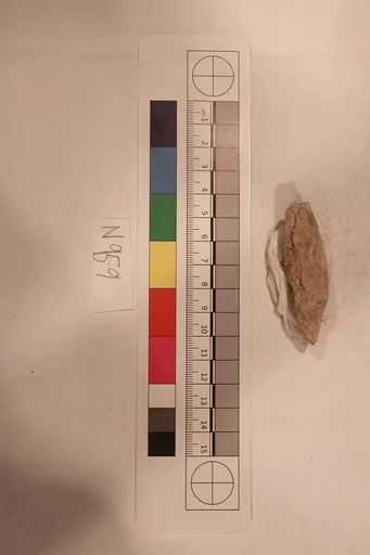 Stucco Fragment