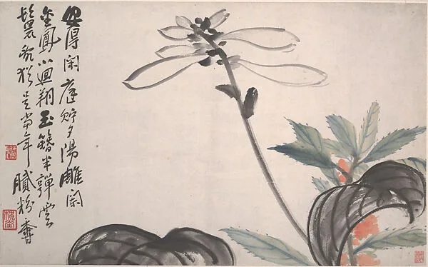 清/現代 陳衡恪 玉簪花圖 冊頁|Plantain Lily — Chen Hengke