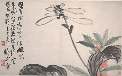 清/現代 陳衡恪 玉簪花圖 冊頁|Plantain Lily