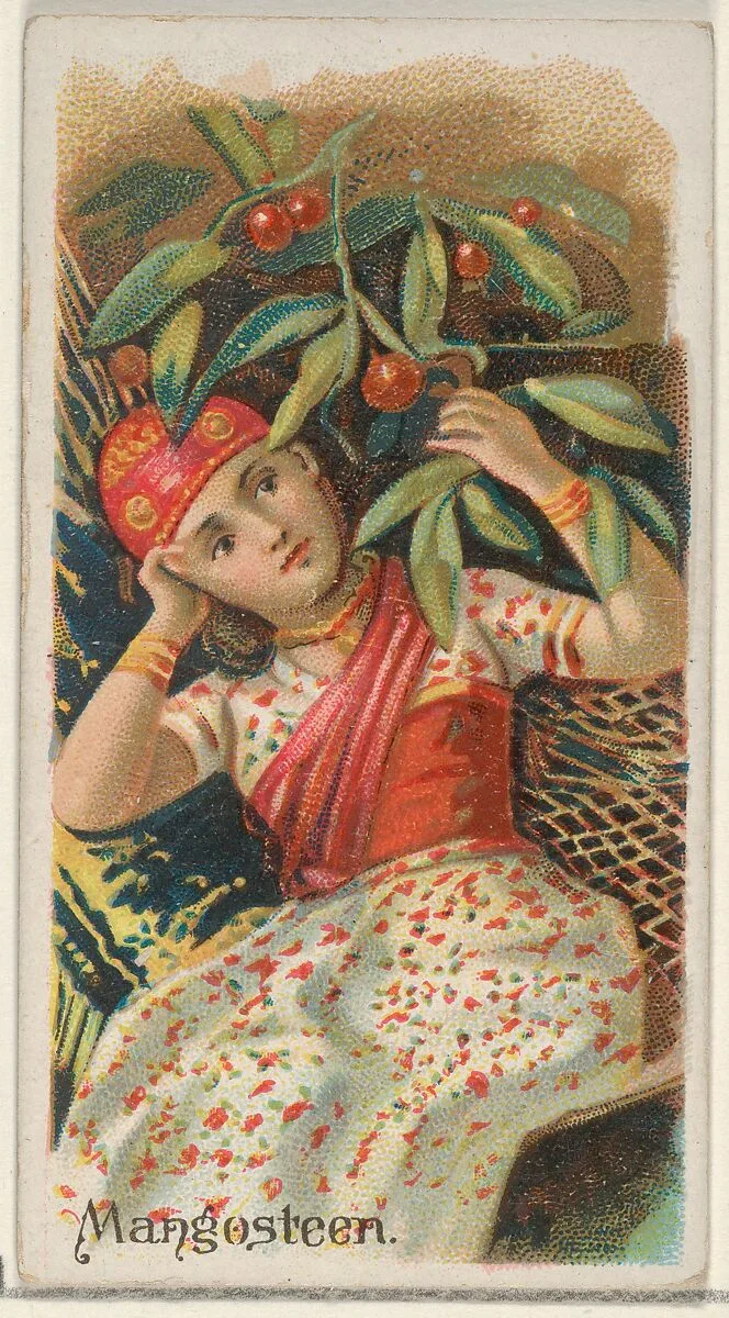 Mangosteen, from the Fruits series (N12) for Allen & Ginter Cigarettes Brands — Allen & Ginter|George S. Harris & Sons