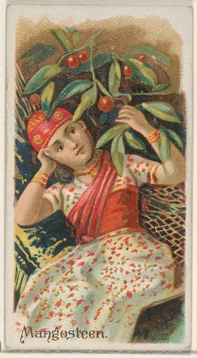 Mangosteen, from the Fruits series (N12) for Allen & Ginter Cigarettes Brands