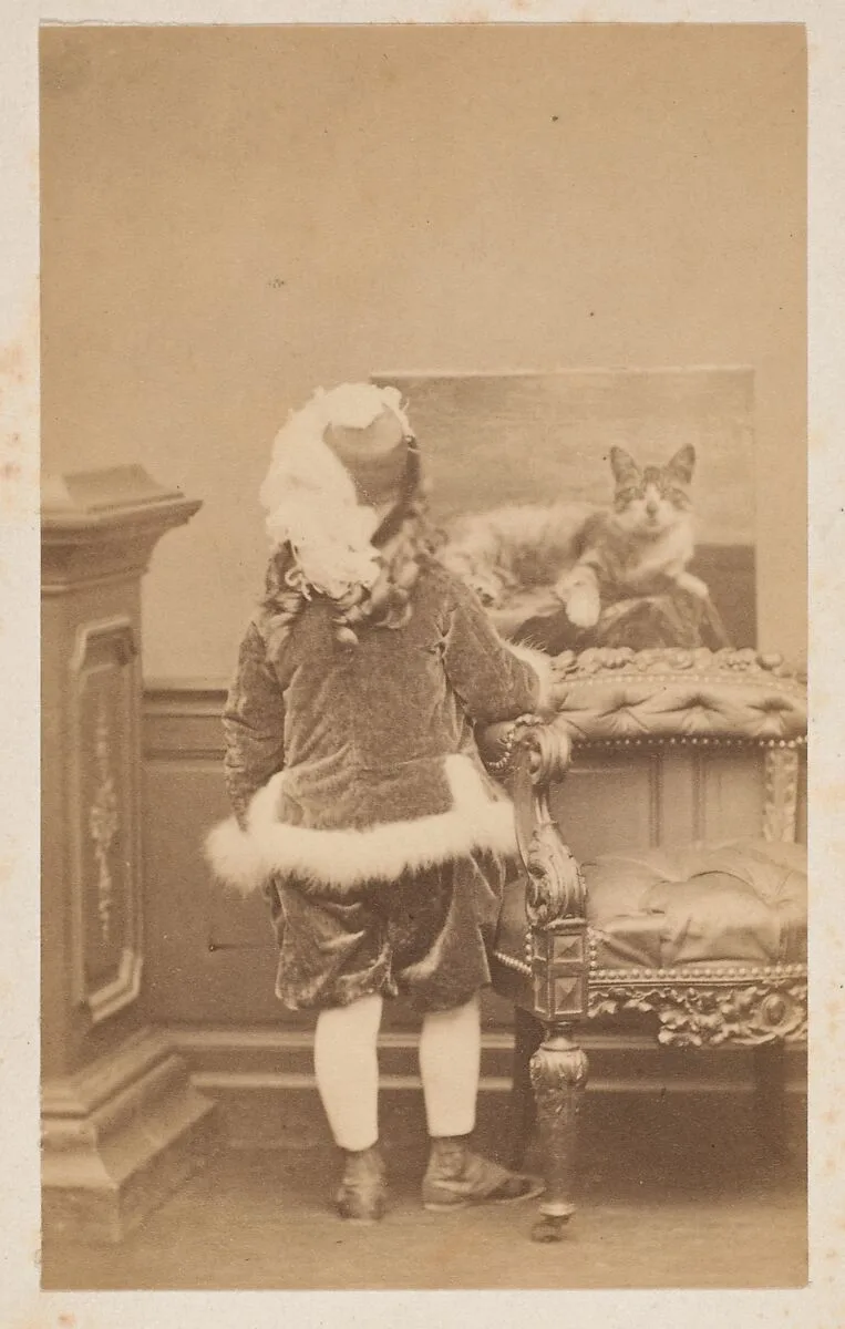 La veste de cygne — Pierre-Louis Pierson