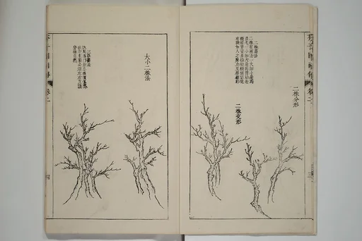 芥子園畫傳|The Mustard Seed Garden Painting Manual  (Japanese reprint)  芥子園畫傳