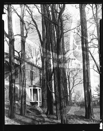 [Corner of Greek Revival House, Seen Through Trees]