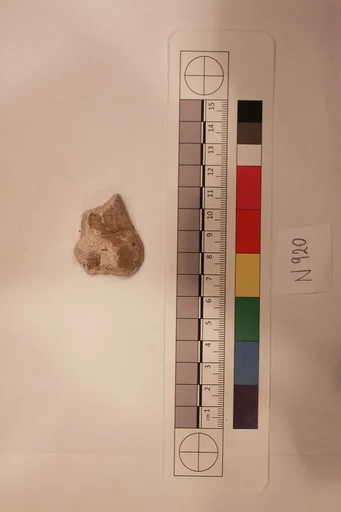 Stucco Fragment