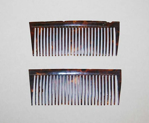 Comb
