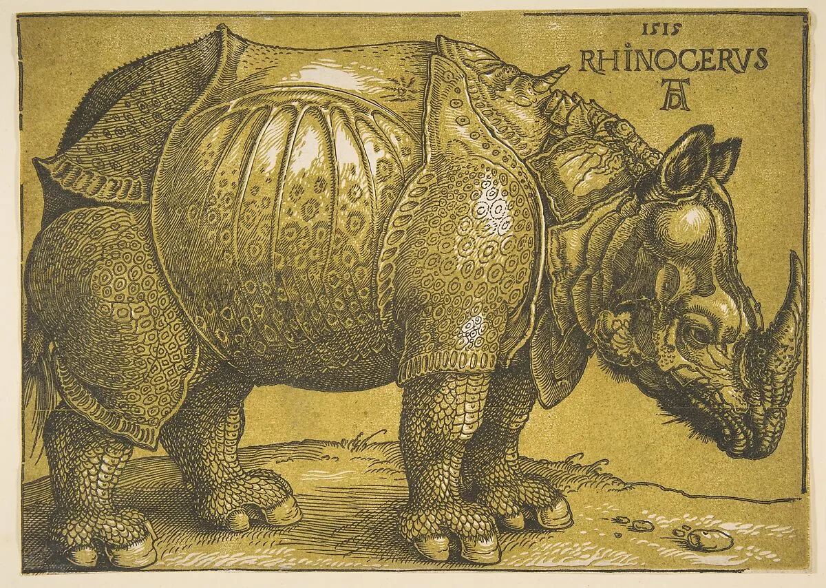The Rhinoceros — Willem Jansz Blaeu|Albrecht Dürer