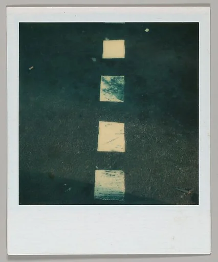 [Lane Divider]