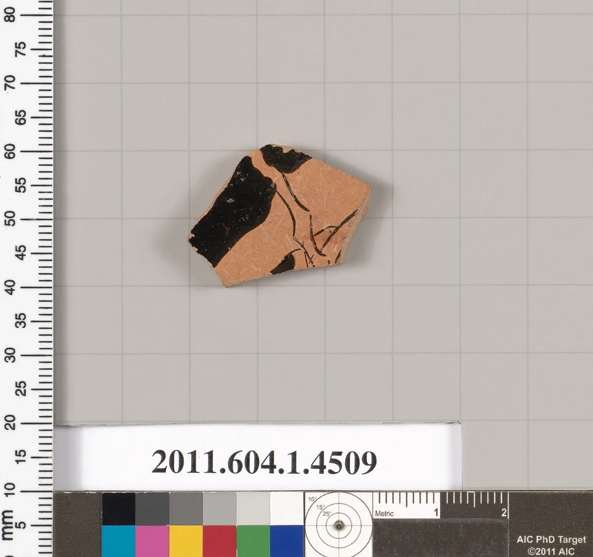 Terracotta fragment of a kylix (drinking cup) — Unknown