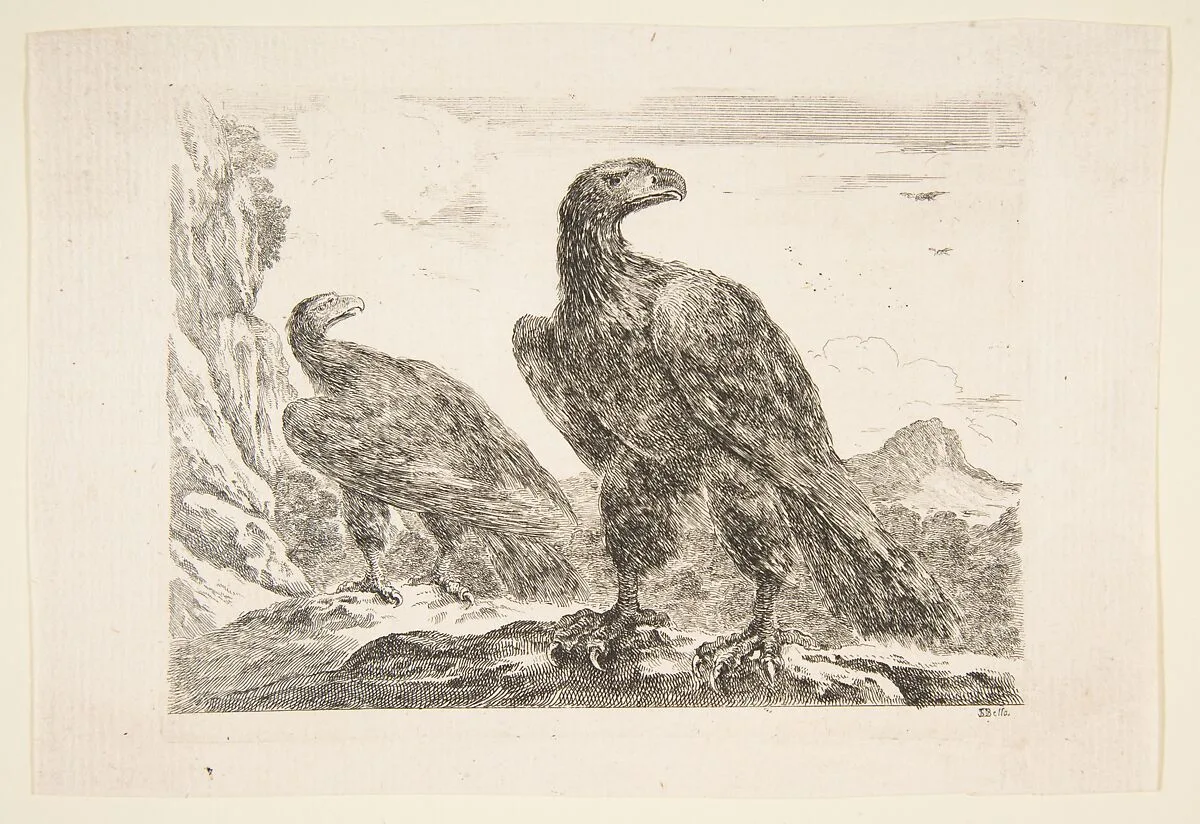 Two eagles, from 'Eagles' (Les aigles) — Stefano della Bella