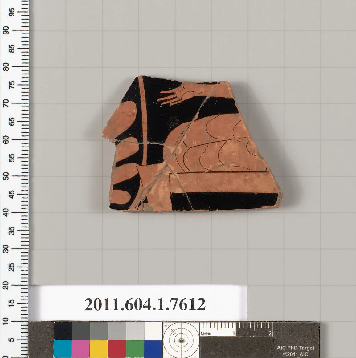 Terracotta fragment of a kylix (drinking cup) — Unknown