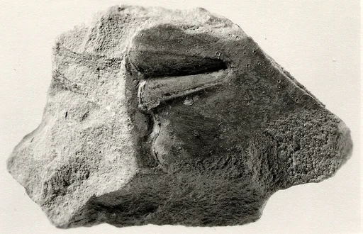 Relief, tomb of Khety: part of a man's face