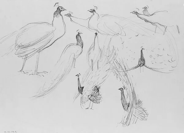 Peacocks — John Singer Sargent