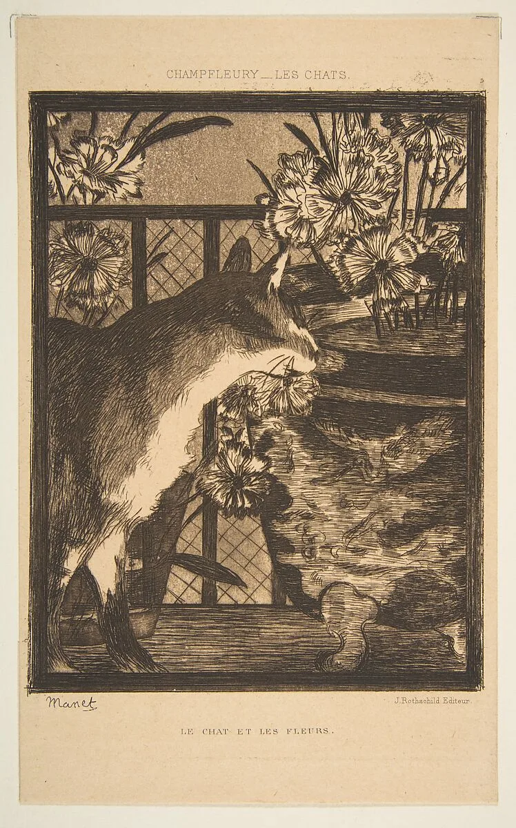 Cat and Flowers, from "Les Chats" — Edouard Manet|Champfleury
