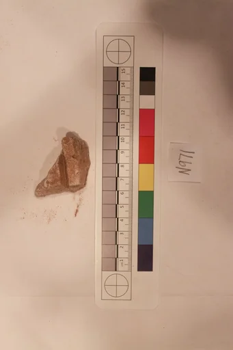 Stucco Fragment