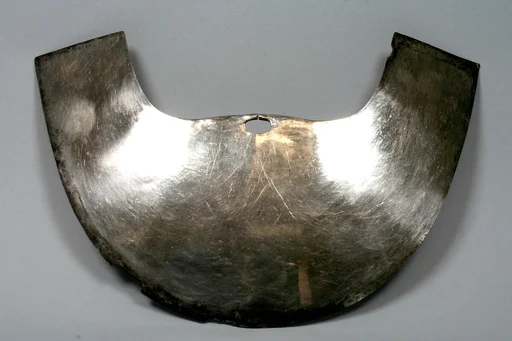 Nose ornament