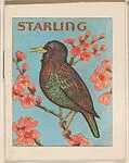 Starling from Eggers Bird Booklets (W607) — Unknown
