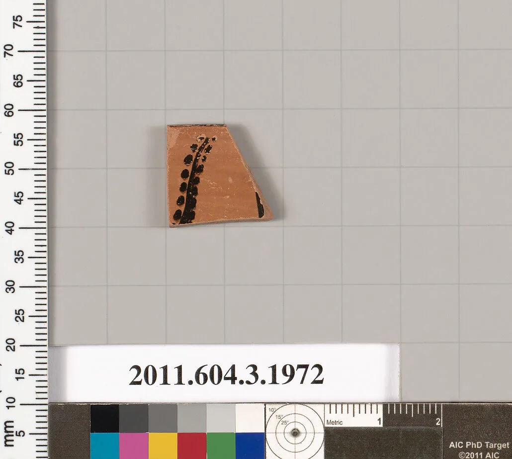 Terracotta fragment of a kylix (drinking cup) — Unknown