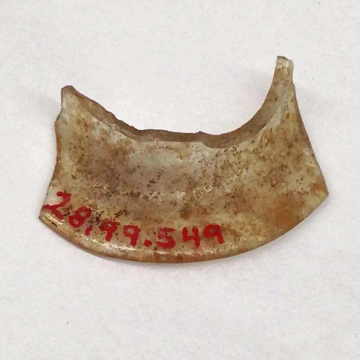 Fragment — Unknown