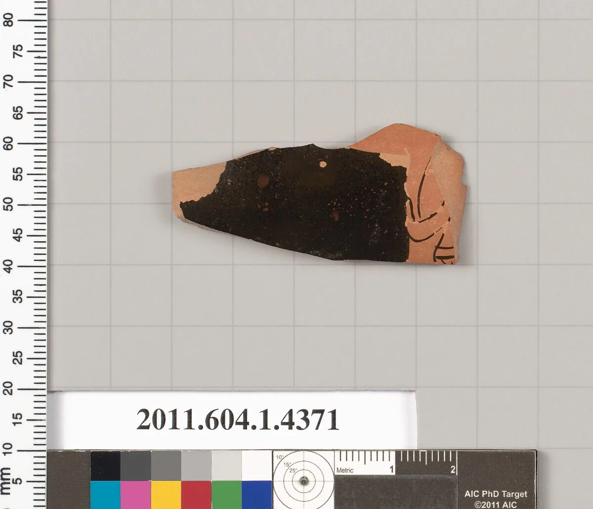 Terracotta fragment of a kylix (drinking cup) — Unknown