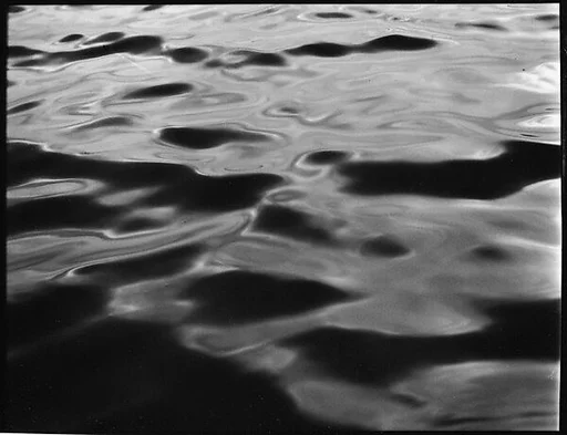 [Water, From Dayboat in Everglades, Florida]