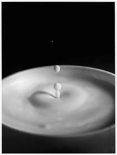 [Milk Drop Falling Into Reservoir of Milk (9/9)]