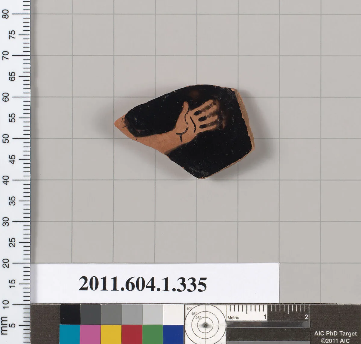 Terracotta fragment of a kylix (drinking cup) — Unknown