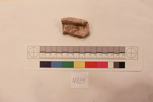 Stucco Fragment