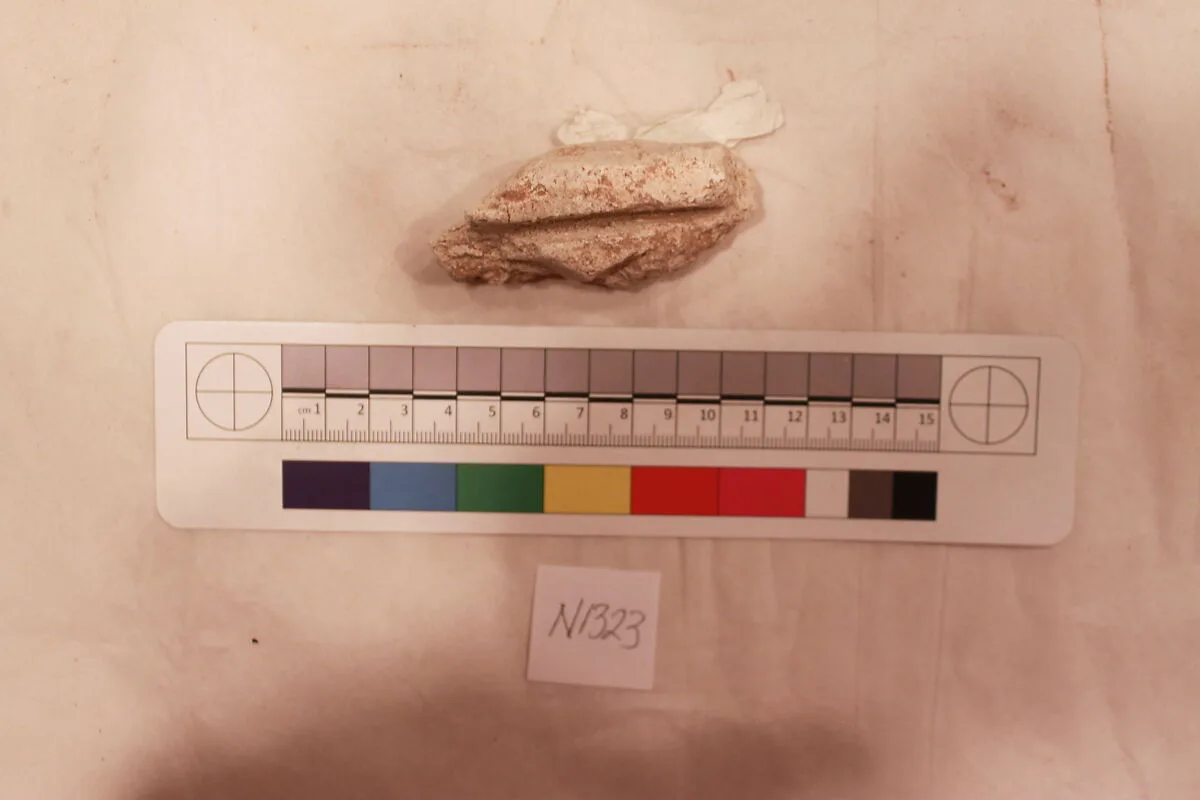 Stucco Fragment — Unknown