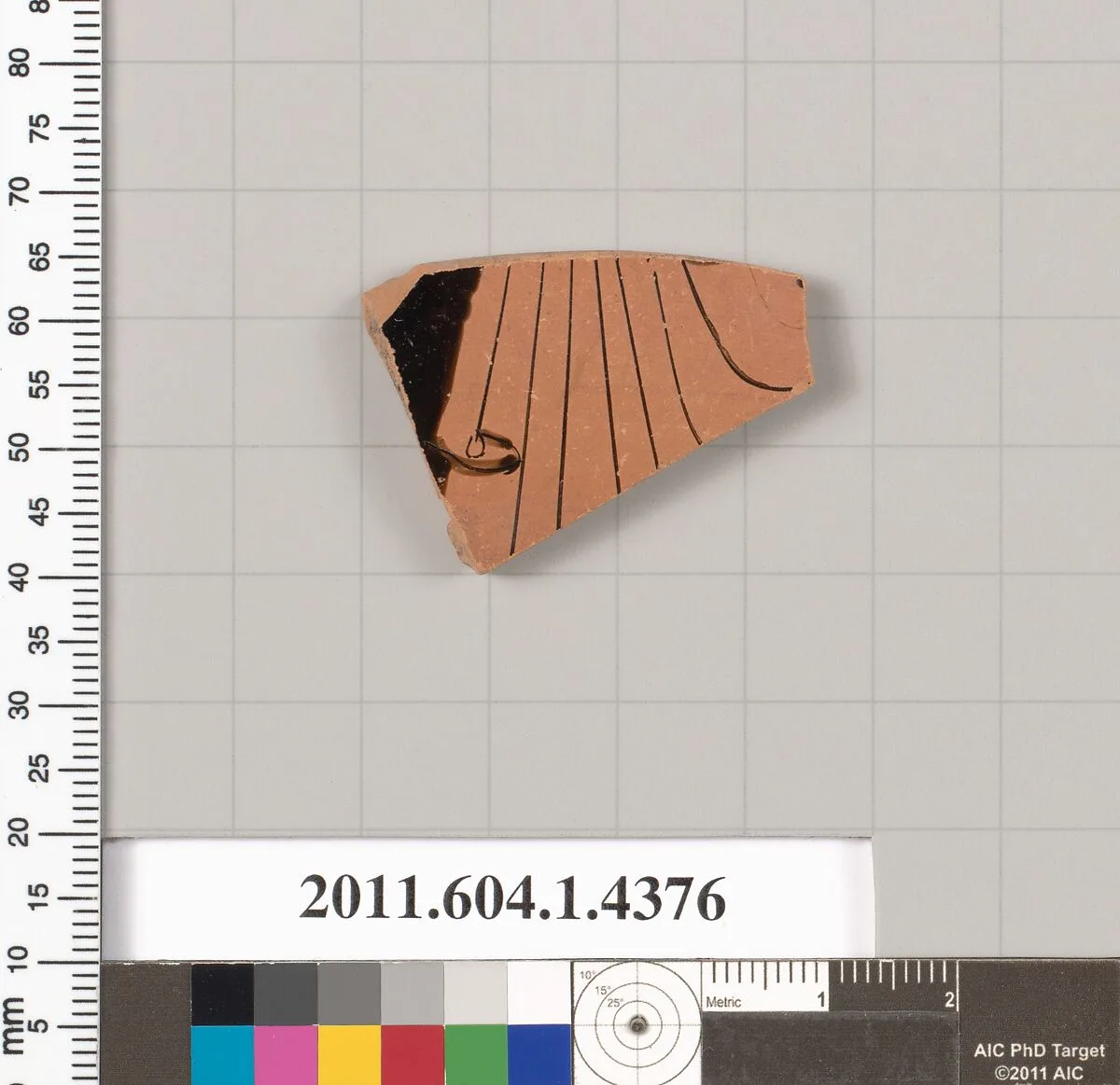 Terracotta fragment of a kylix (drinking cup) — Unknown