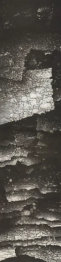 當代   張羽   靈光2000-8|Divine Light 2000–8
