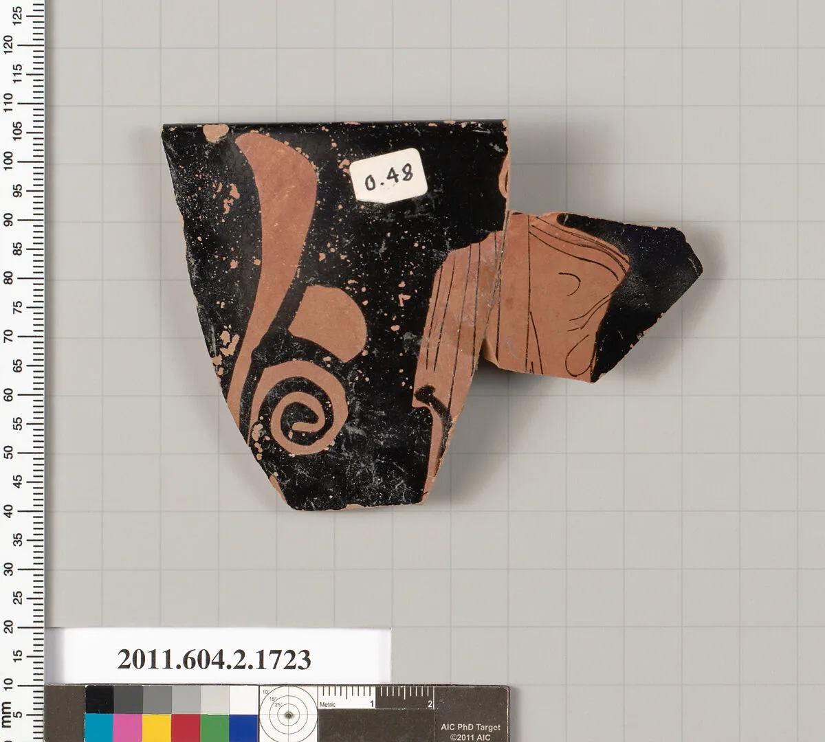 Terracotta fragment of a skyphos (deep drinking cup) — Unknown