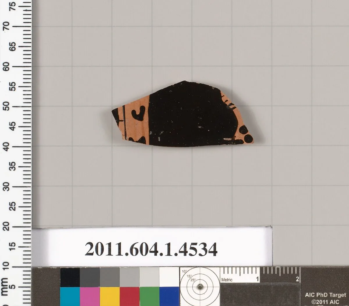 Terracotta fragment of a kylix (drinking cup) — Unknown