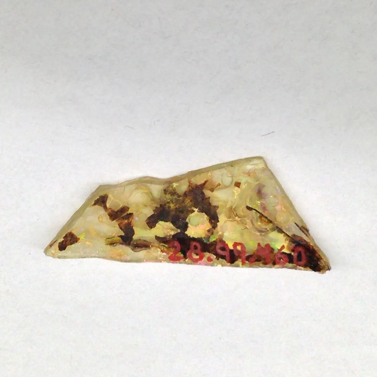 Fragment — Unknown