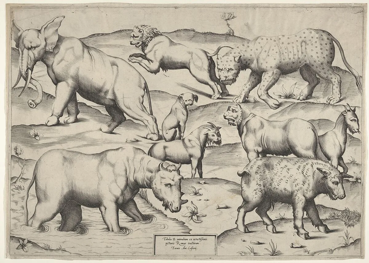 Various Animals — Anonymous, Italian, 16th century|Antonio Lafreri
