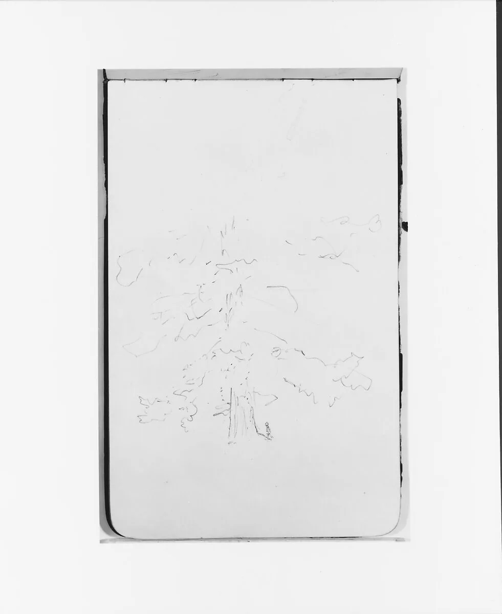Tree (from Sketchbook) — Albert Bierstadt
