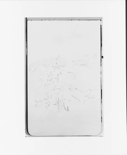 Tree (from Sketchbook)