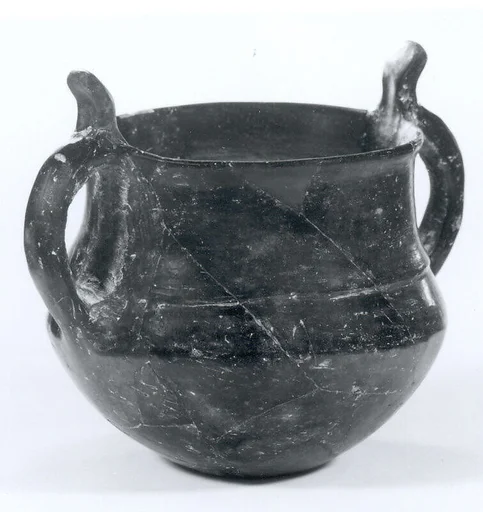 Pot