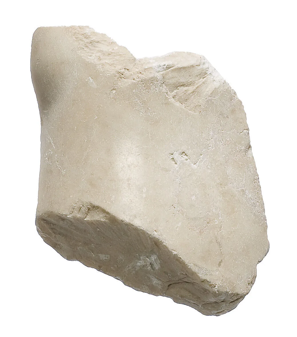 Knee fragment, probably male — Unknown